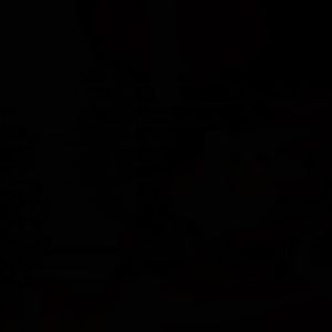 Meet your Posher, Jocelyn